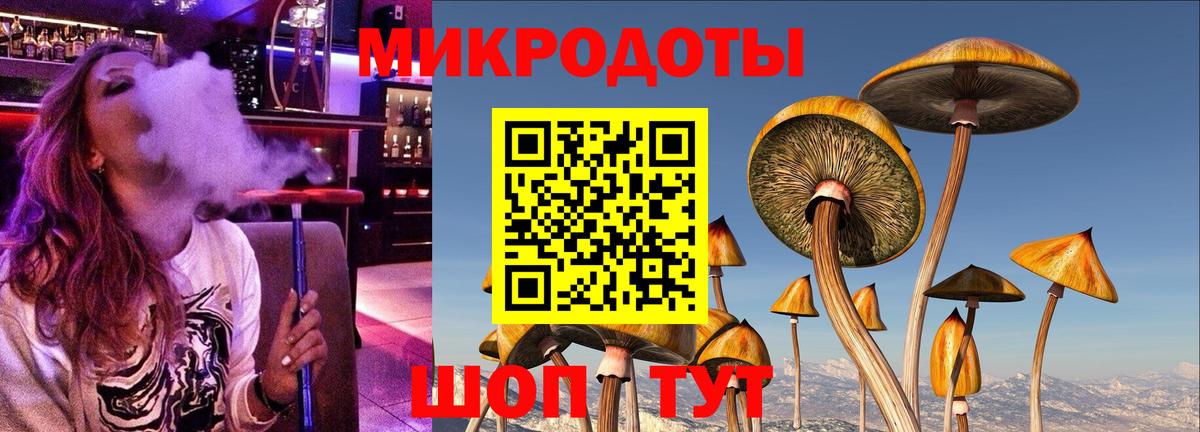 Нижнеудинск  Псилоцибиновые грибы мухоморы  Вход с VPN 