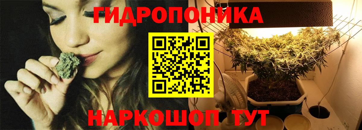 Нижнеудинск  Бошки Шишки ГИДРОПОН  Вход с VPN  Бошки Шишки тримм 